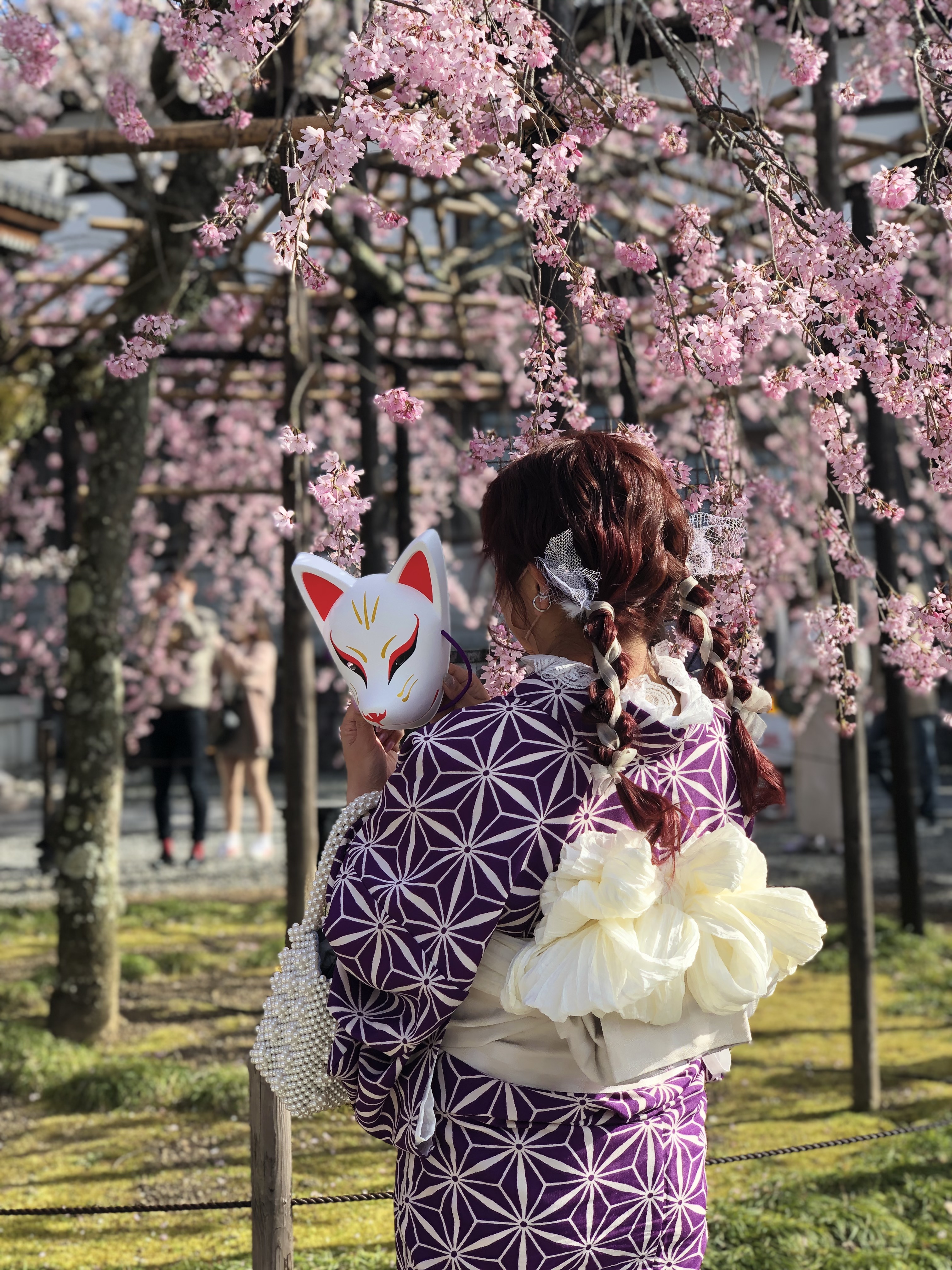 桜が満開❀